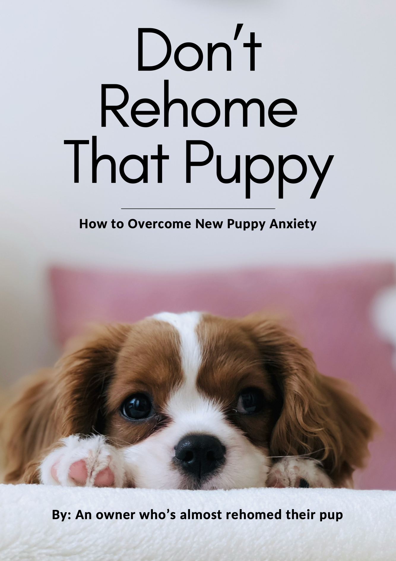 How to Overcome New Puppy Anxiety